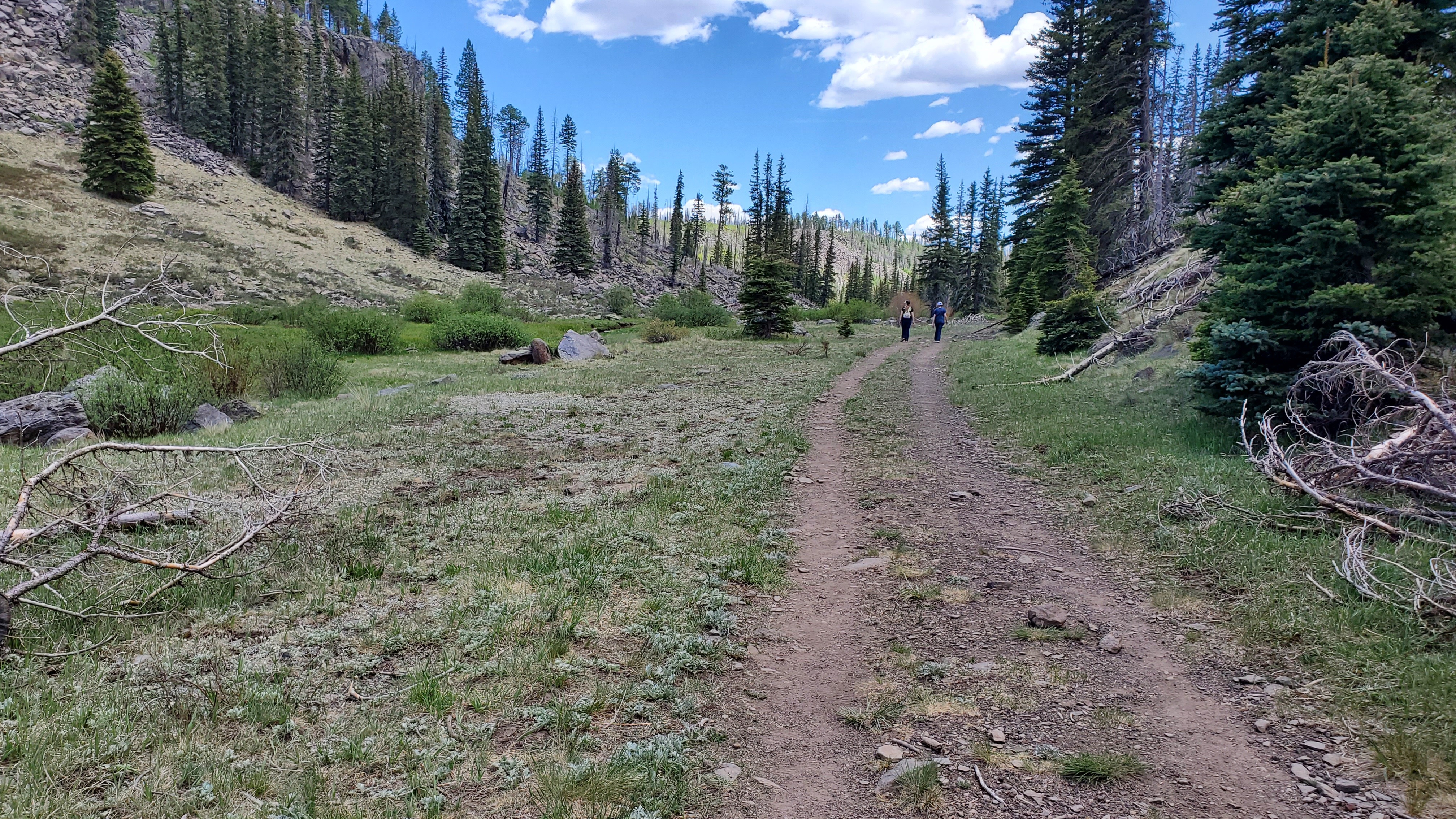 Photo 31 of 31 of Forest Road 140 Williams, AZ Campendium