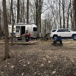 Meeman shelby forest state park