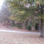 Paris landing state park