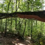 Pickett ccc state memorial park