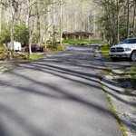 Roan mountain state park