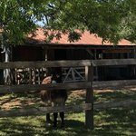 Berry springs park and preserve
