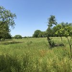 Berry springs park and preserve