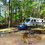 Daingerfield state park