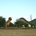 Dinosaur valley state park