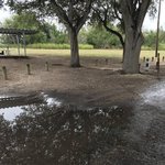 Lake corpus christi state park