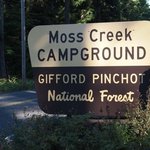 Moss creek campground
