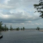 Magnolia ridge park