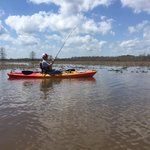 Martin dies jr state park