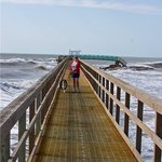 Matagorda bay nature park