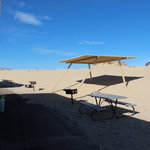 Monahans sandhills state park