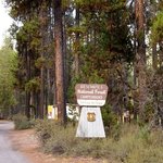 Sheep bridge campground