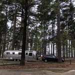 Piney point campground wright patman lake