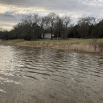 Purtis creek state park