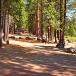 Wyeth campground deschutes nf