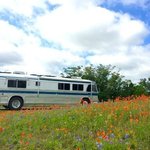 Taylor park campground