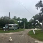 Tips park