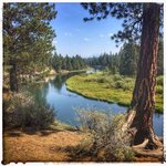 La pine state park