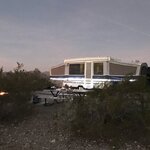 Alamo lake state park