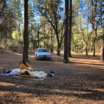 Coal creek campground