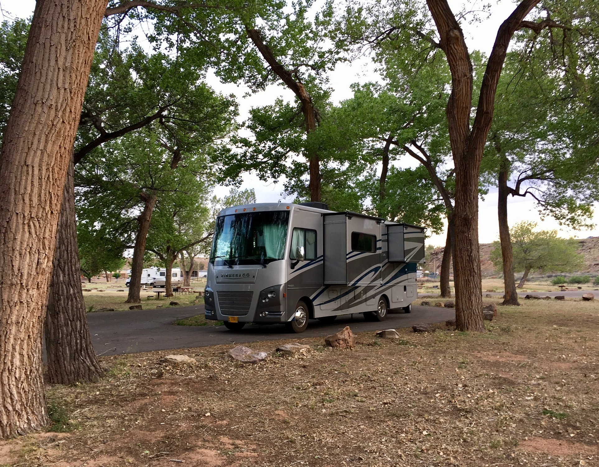 cottonwood pet resort alamogordo nm