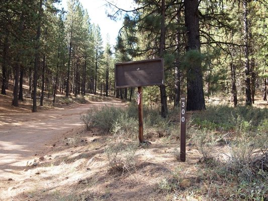 Forest Road 300