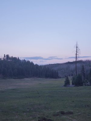 Hannagan Campground photo 2
