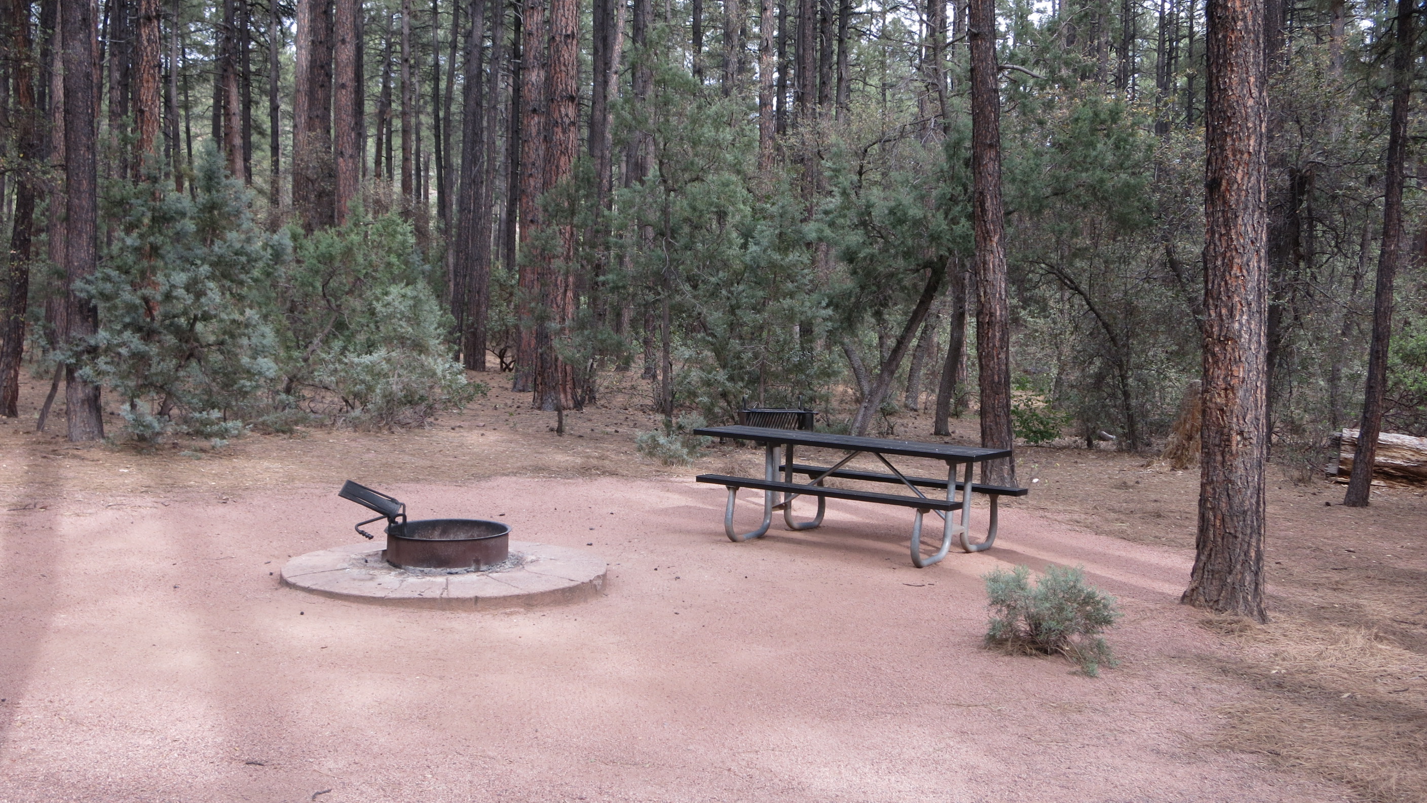 Ponderosa Campground Reviews updated 2024