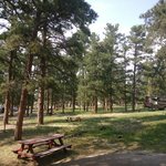 Casey jones park