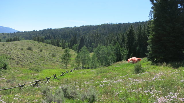 Cataract Creek Campground Reviews