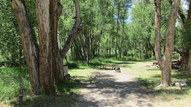 Dry Gulch Campground photo 2