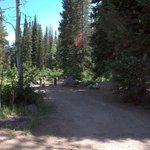 Dry lake campground routt nf