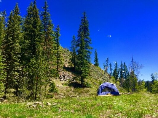 Horseshoe Campground
