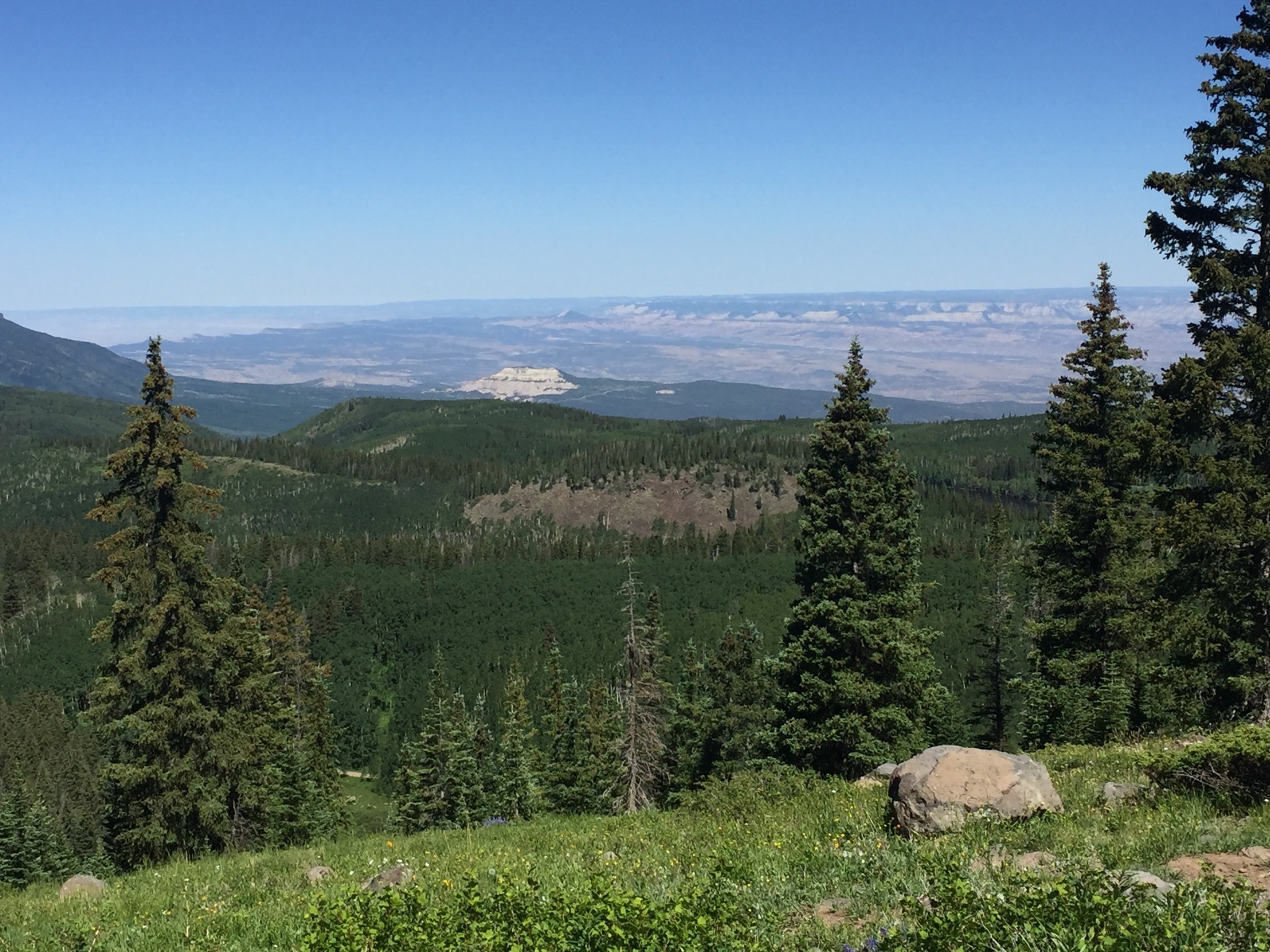 Jumbo Campground Reviews updated 2024