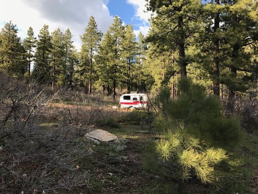 Mancos Main Campground