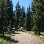 Meadows campground routt nf