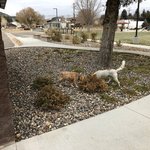 Meeker city park