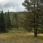 Monarch park