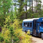 North fork poudre