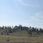 Pole creek group campground