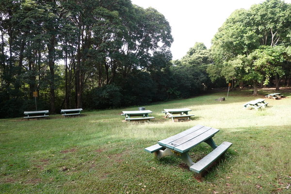 Keaiwa Heiau State Recreation Area photo 2