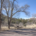 Bighorn campground