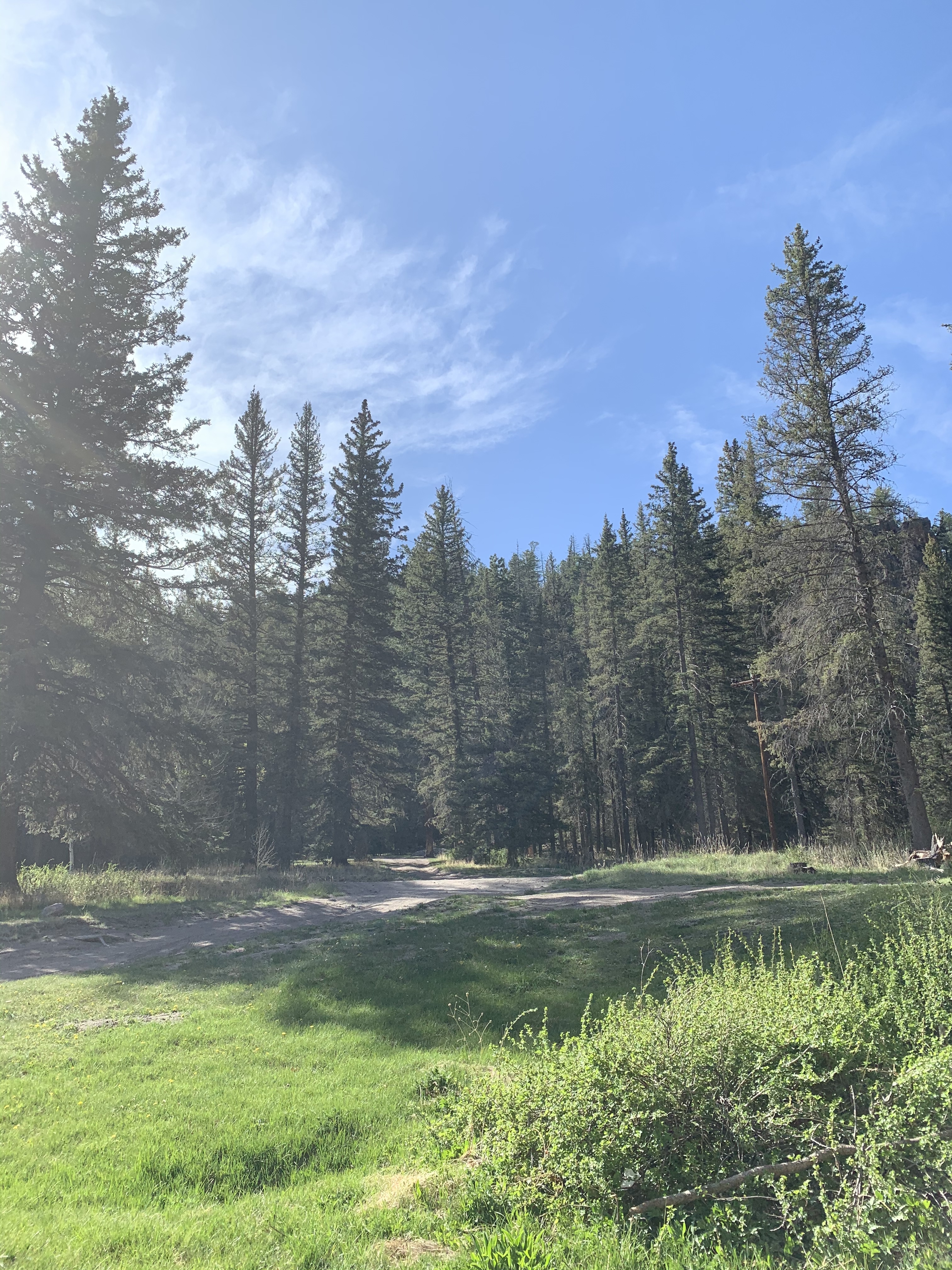 Calaveras Canyon Dispersed Camping
