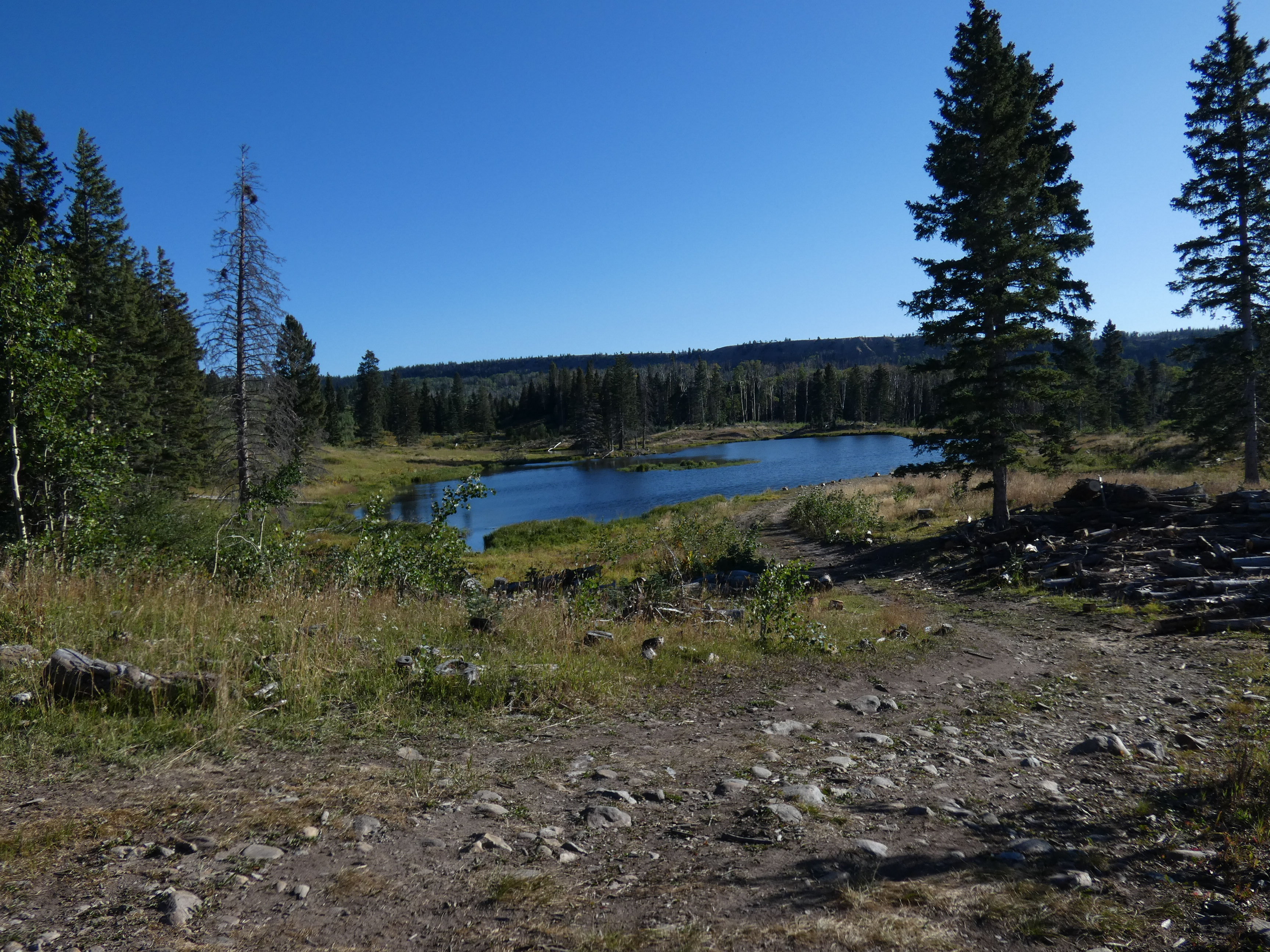 Middle Canjilon Lake Campground Reviews updated 2024