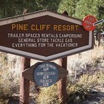 Pine cliff resort