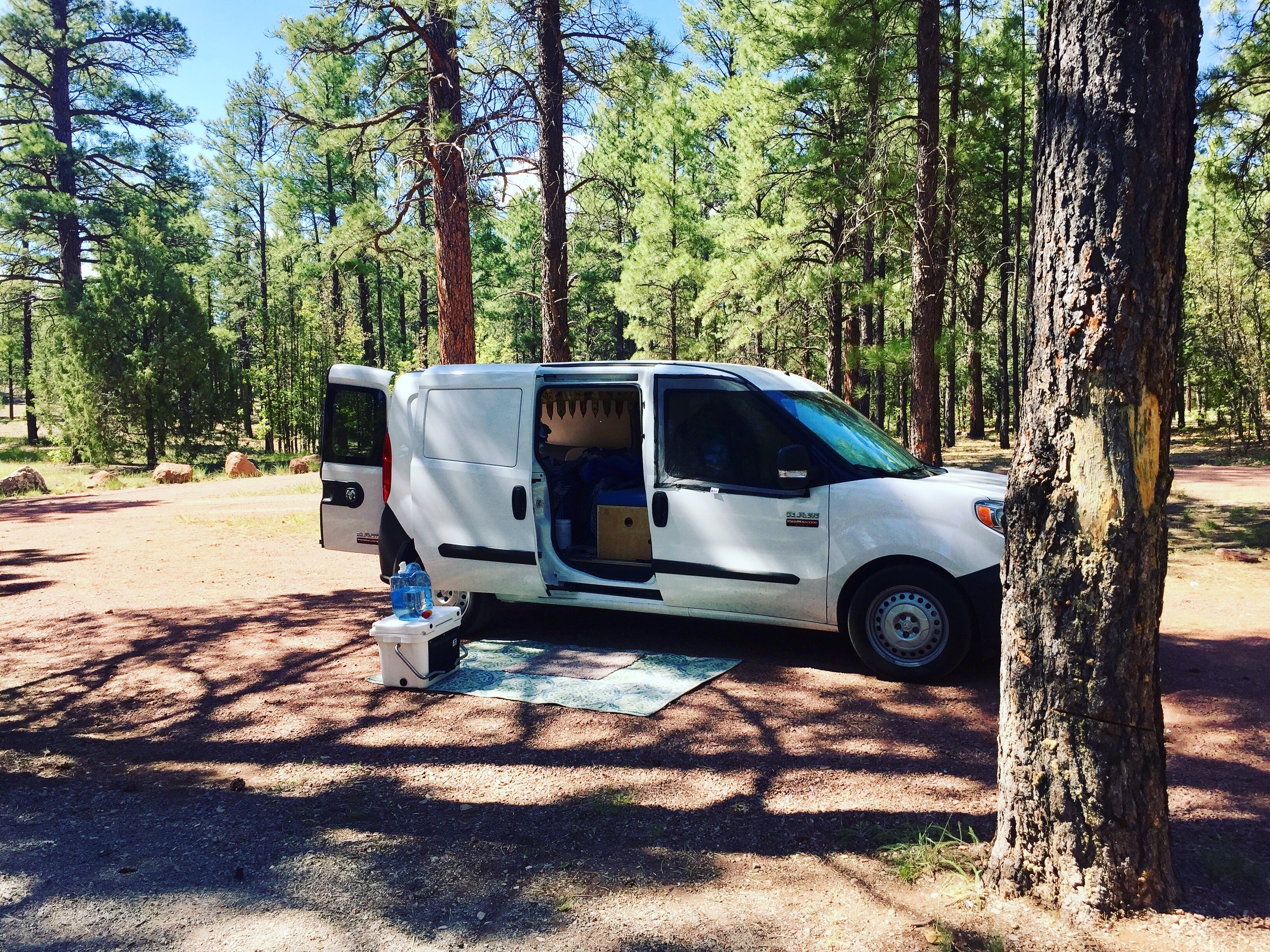 Quaking Aspen Campground