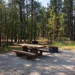 Quaking aspen campground cibola nf