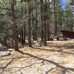 Springtime campground