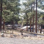 Upper end campground