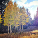 Wheeler peak campground
